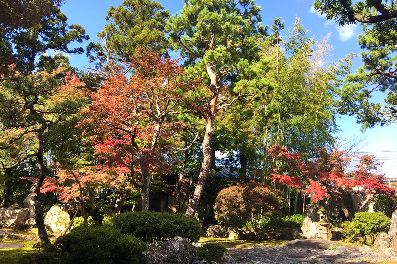 金升酒造 秋の庭園風景