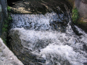 富士高砂酒造 湧水