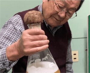 富士高砂酒造 酵母培養の様子