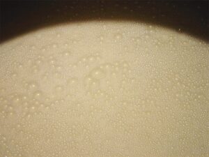 富士高砂酒造 仕込みの様子
