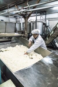 富士高砂酒造 酒造りの様子