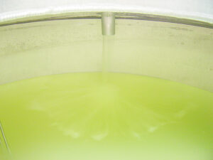 富士高砂酒造 酒造りの様子