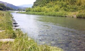 瀬戸川の風景