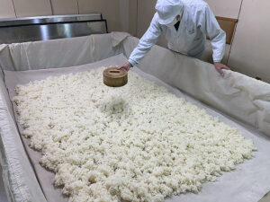 酒造り4. 麹・酵母