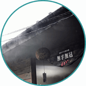 無手無冠