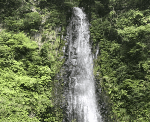 源太夫山」の良質な湧き水