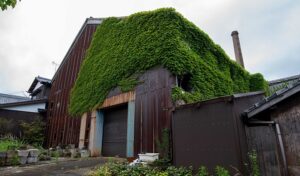 豊村酒造 古酒倉（北）（こしゅぐら きた）