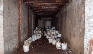 豊村酒造 仕込蔵及び酛取場（しこみぐらおよびもととりば）