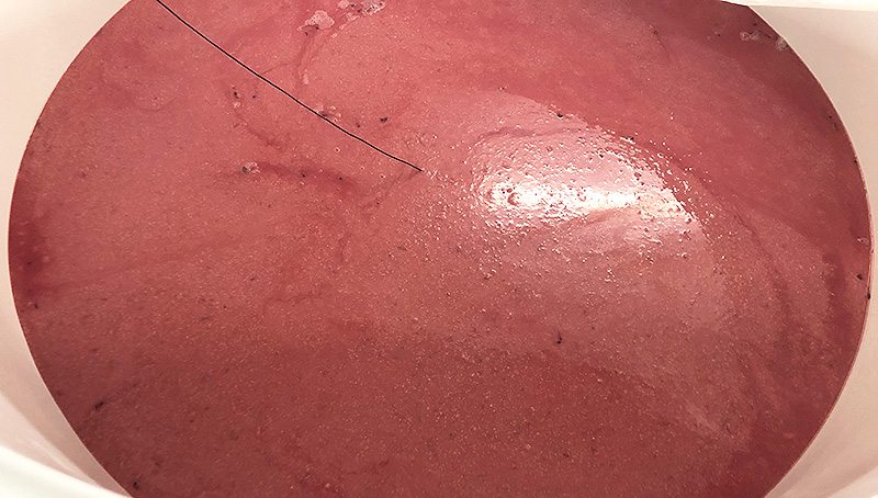 亀岡蒸留所 もろみ