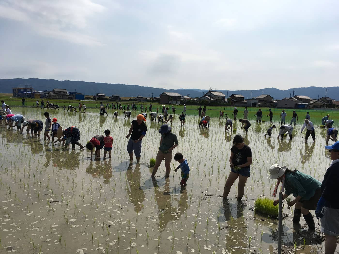 千代菊-【三】さらなる自然の力を引き出す人の和の力を大切にする。