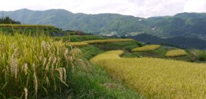 長野銘醸　田園