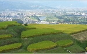長野銘醸　田園