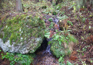 長野銘醸　水